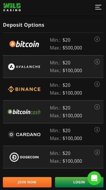Choose a Payment Option