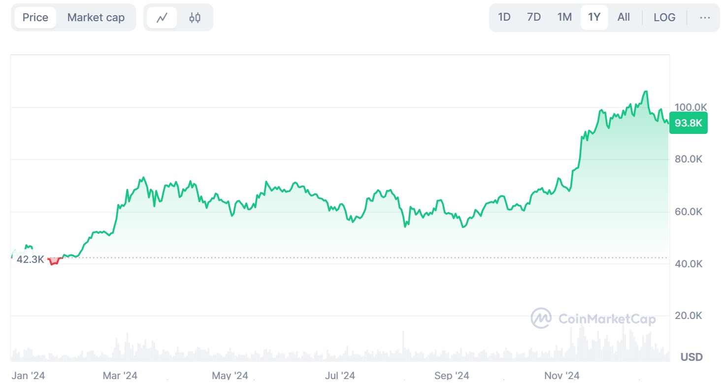 2023년 12월 - 2024년 12월 BTC 전년 대비 가격 차트.