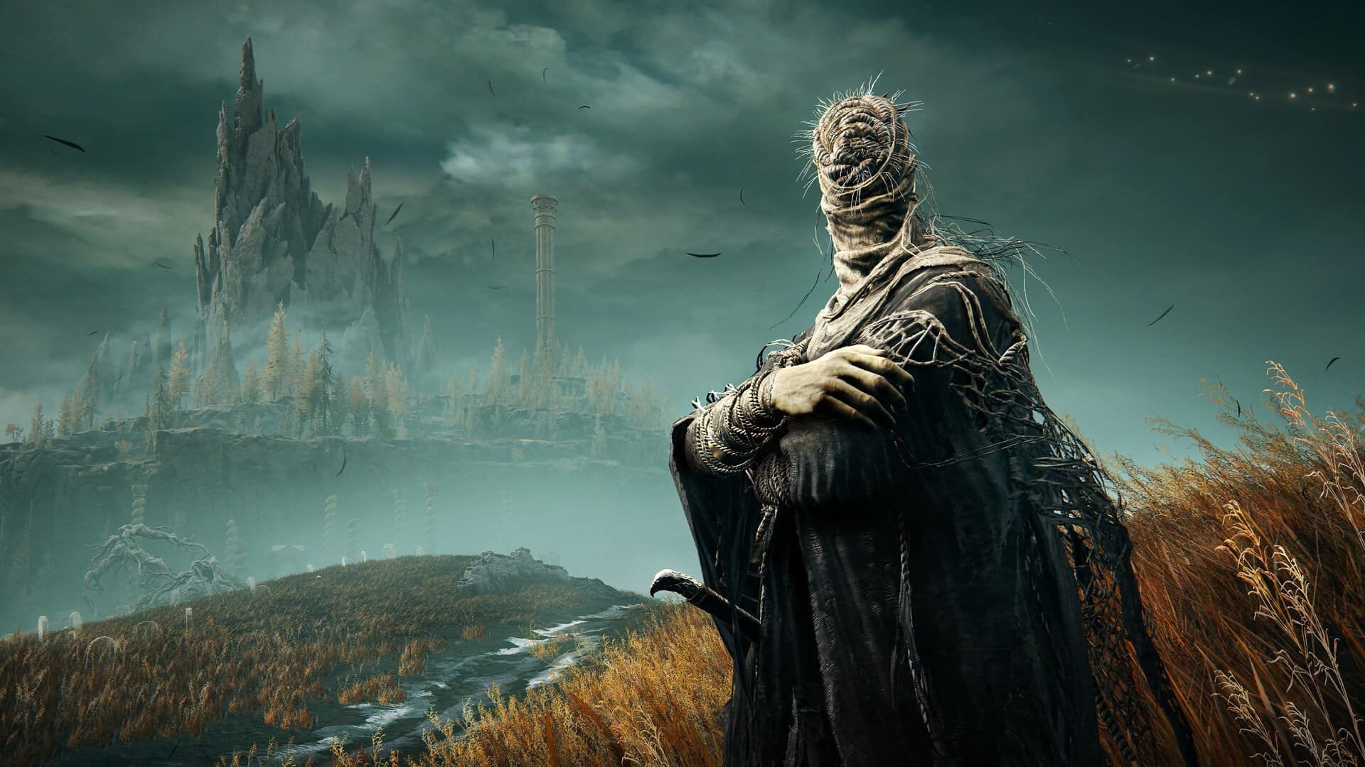 Elden Ring released its Shadow of the Erdtree expansion in 2024. 
