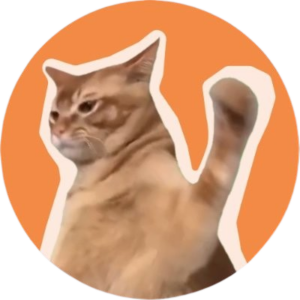 catslap best cheap crypto to buy now