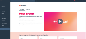 Hubspot ChatGPT alternative test