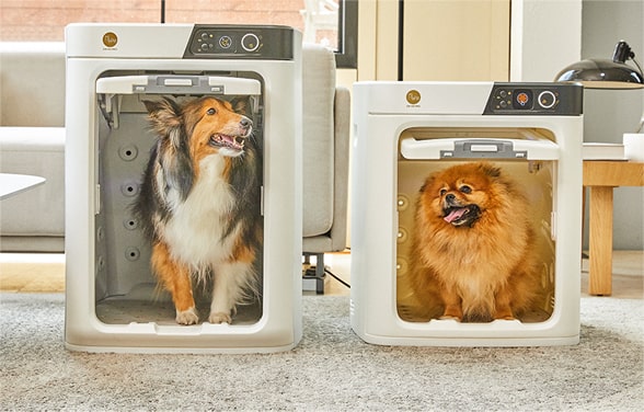 Walk-in Pet Dryer. 