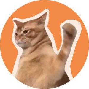 best defi coins - catslap