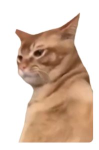 best play-to-earn crypto coins - catslap