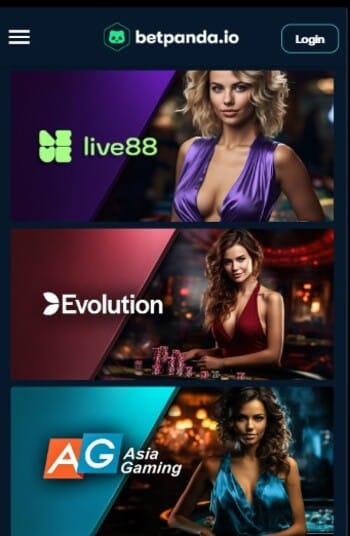 BetPanda No KYC Casino