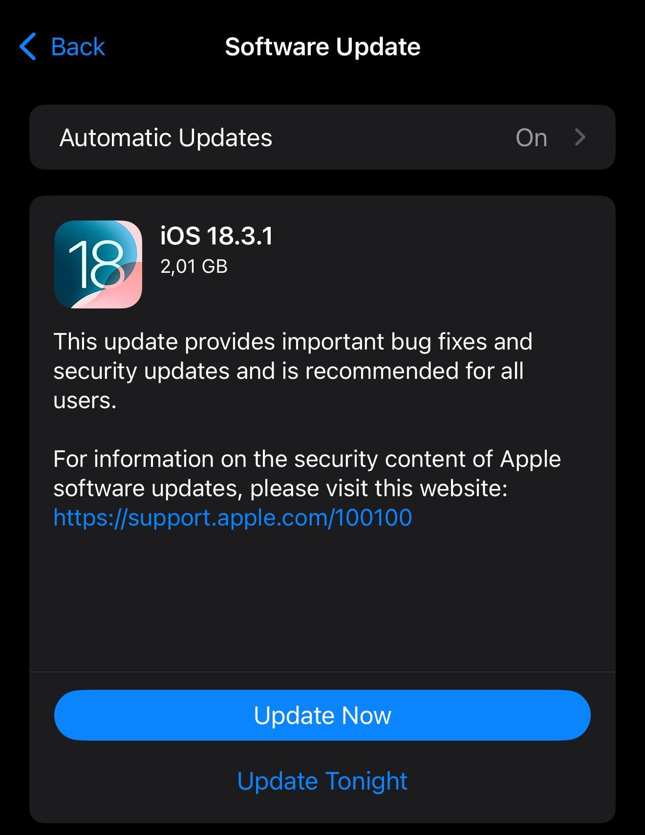 Screenshot of an iOS software update for version 18.3.1, detailing size, benefits, and update options.