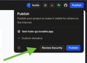 Screenshot of a web interface showing the 'Publish' settings with options for a project URL and a 'Review Security' button.