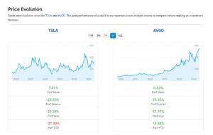 Stock price charts for TSLA and AVGO, showing performance metrics for various timeframes over the last five years.